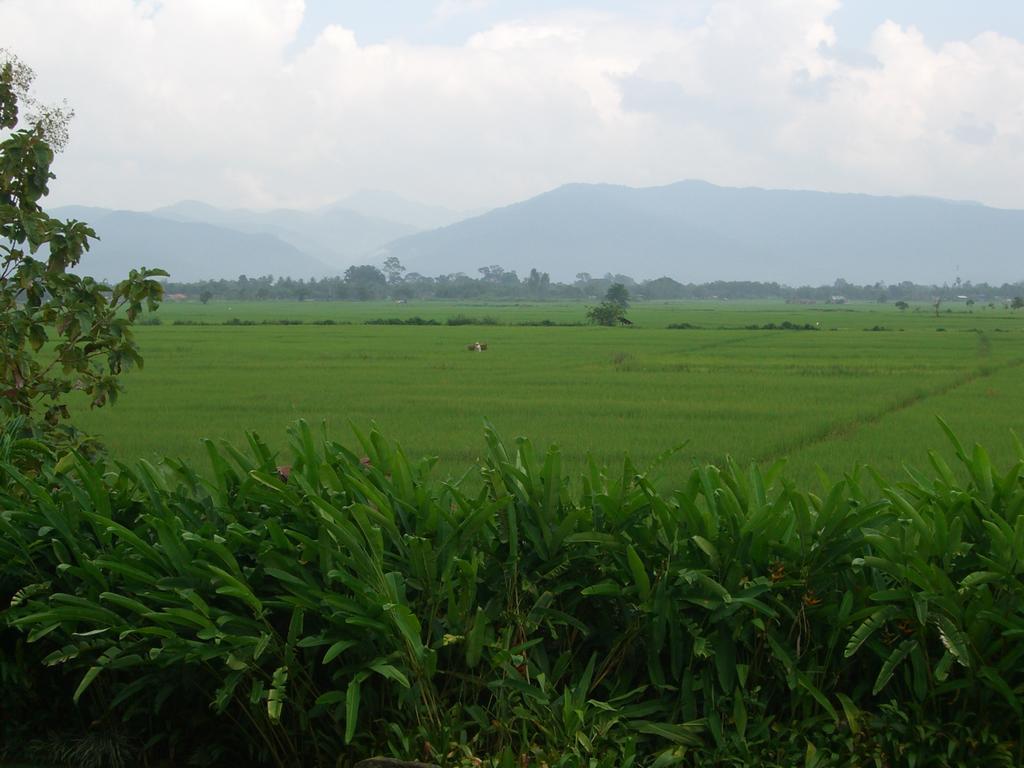 Rico Resort Chiang Kham Экстерьер фото
